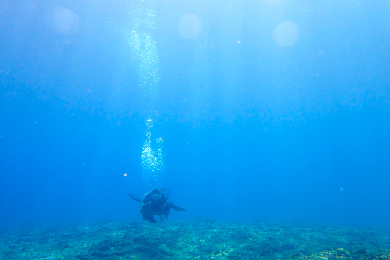 今日の海