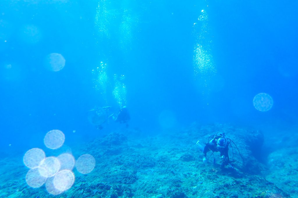透明度40mの海