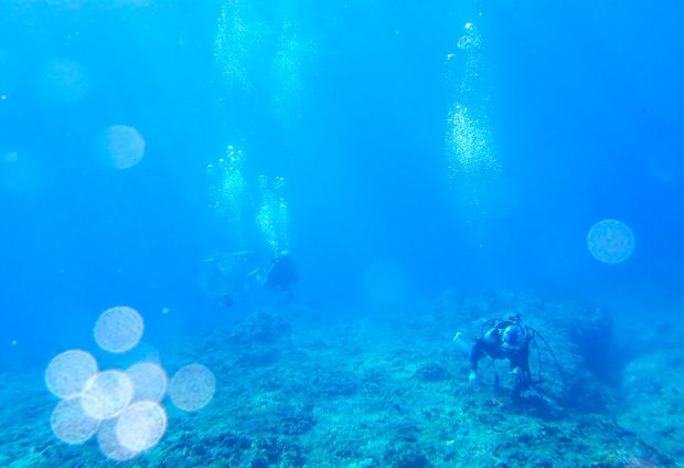 透明度４０ｍの海