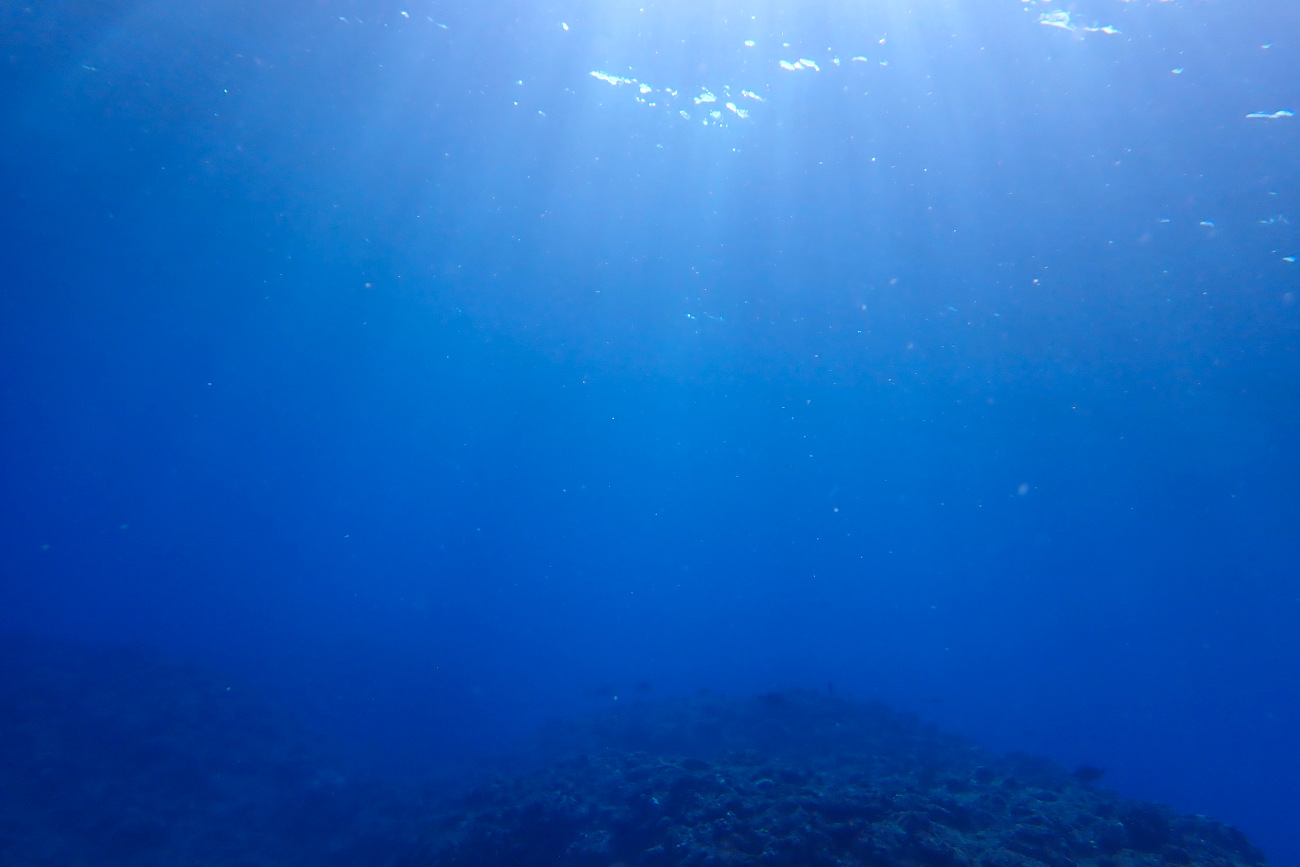 水中から見る太陽