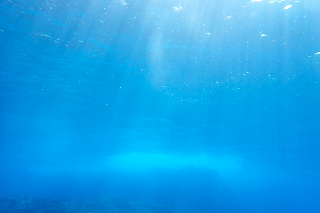 明るい水中