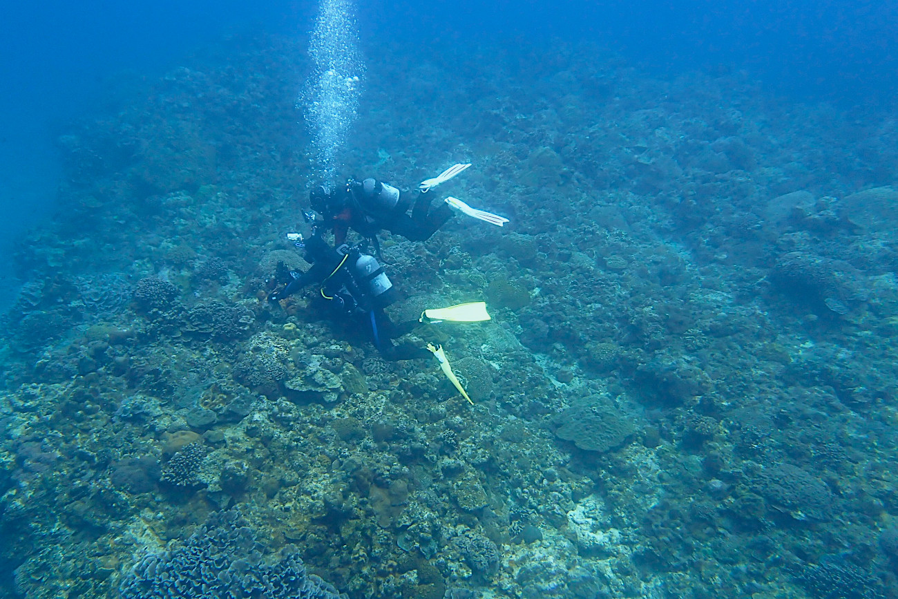 楽しむゲストさん