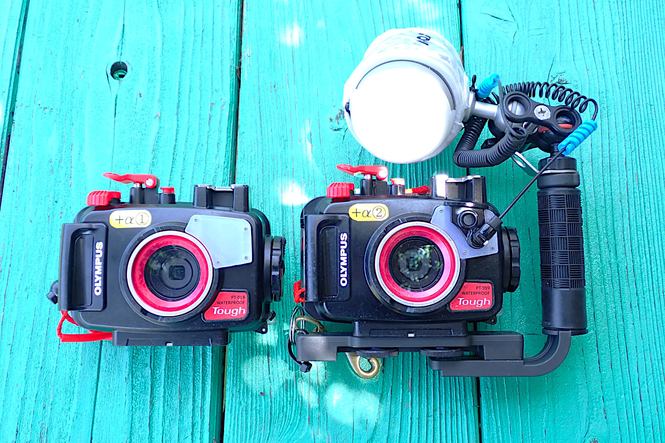 デジカメレンタル