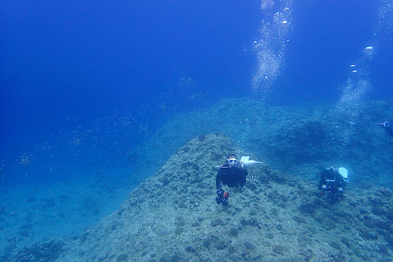 透明度40mの海
