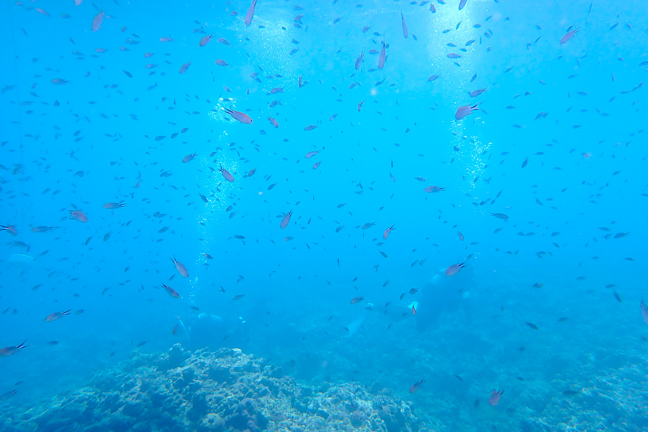 青い海