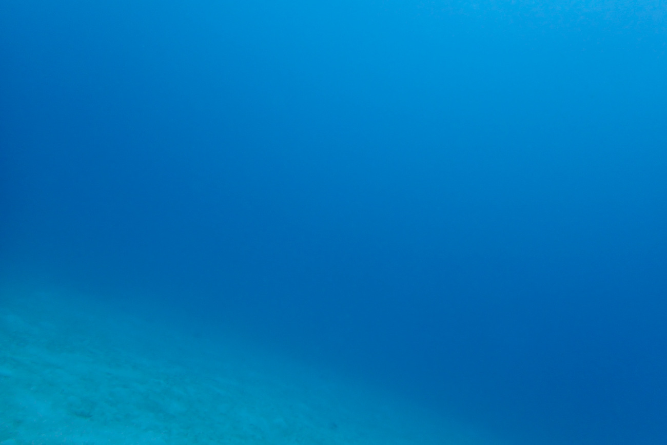 インリーフの海