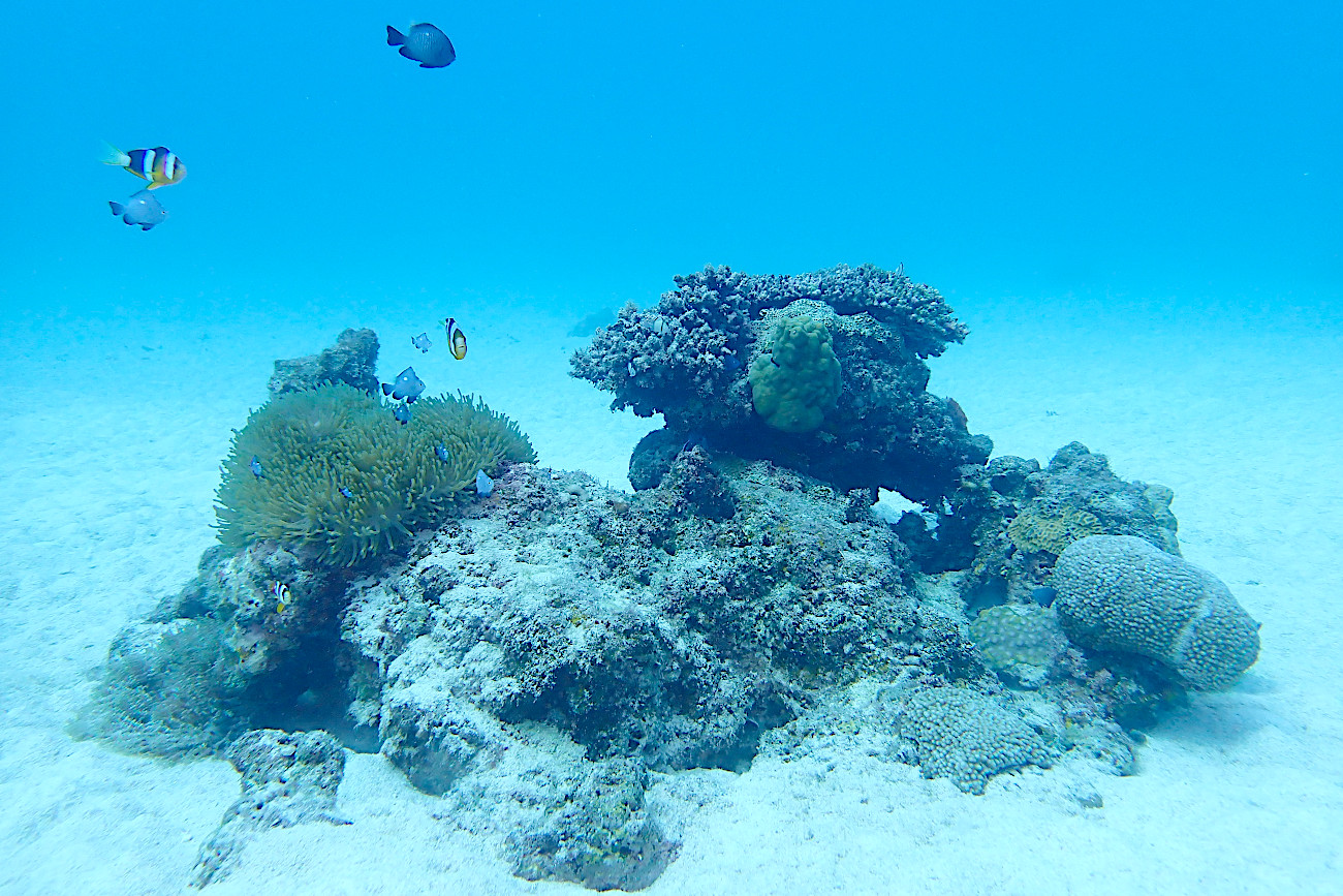透明度の良い海